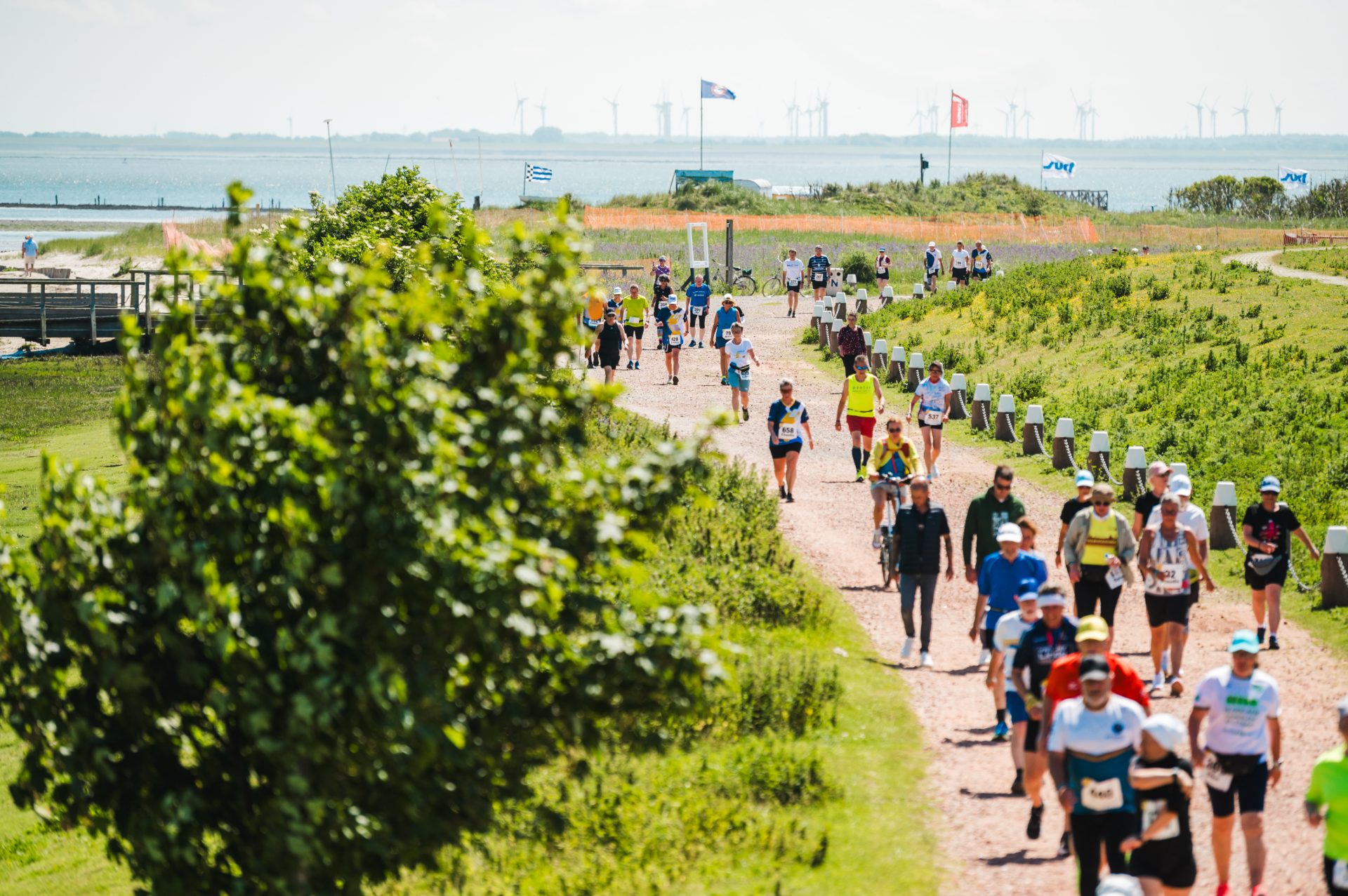 Deichweg mit Blick auf das Meer