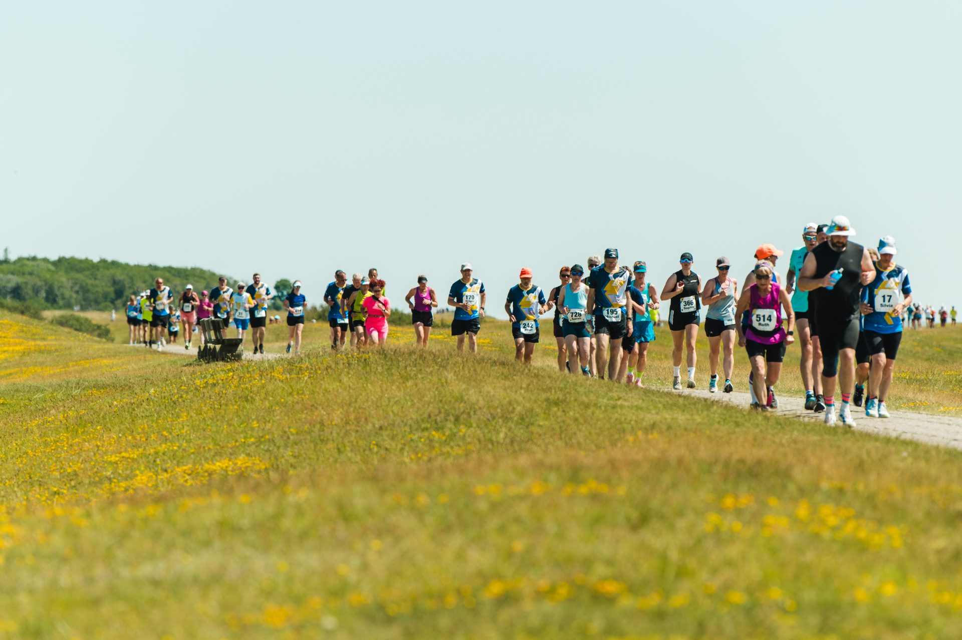 Weiter Deichweg an der ostfriesischen Küste